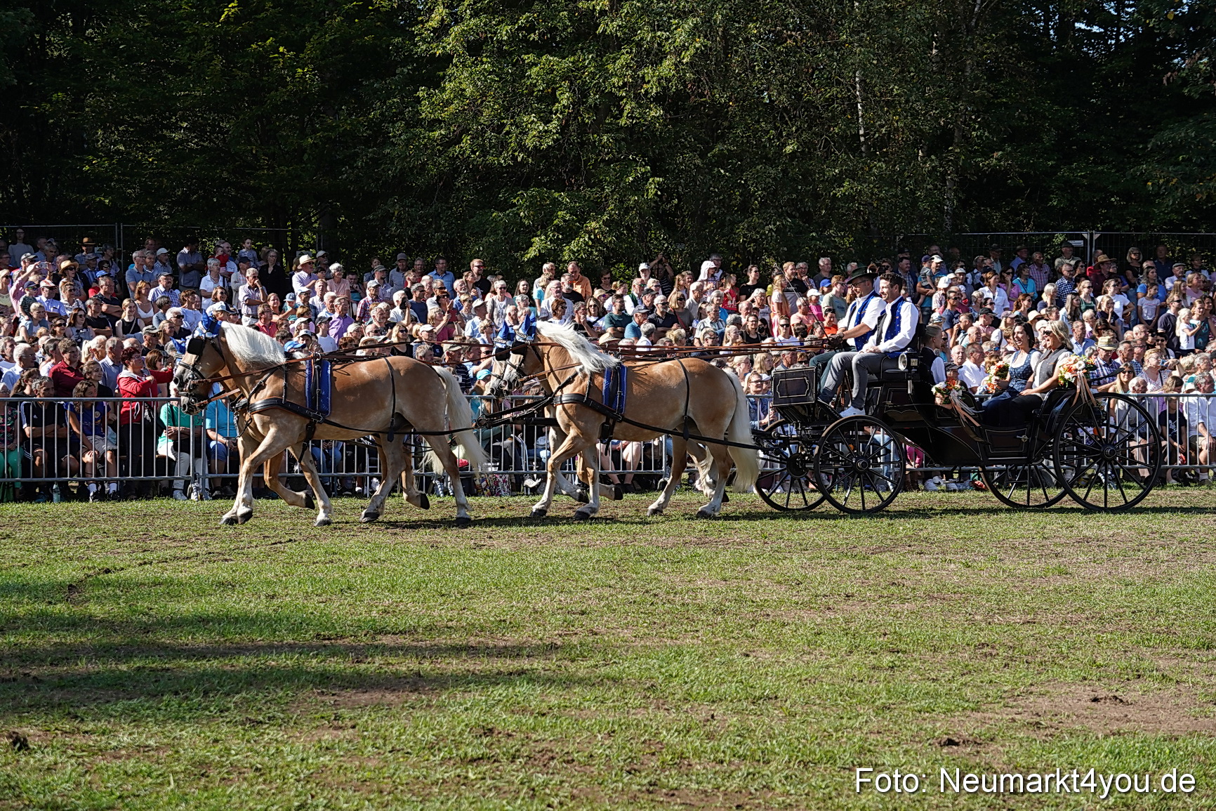 Pferde und Fohlenschau 2022 0114 